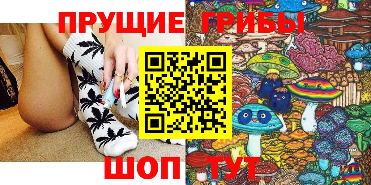 Псилоцибиновые грибы Cubensis Таганрог