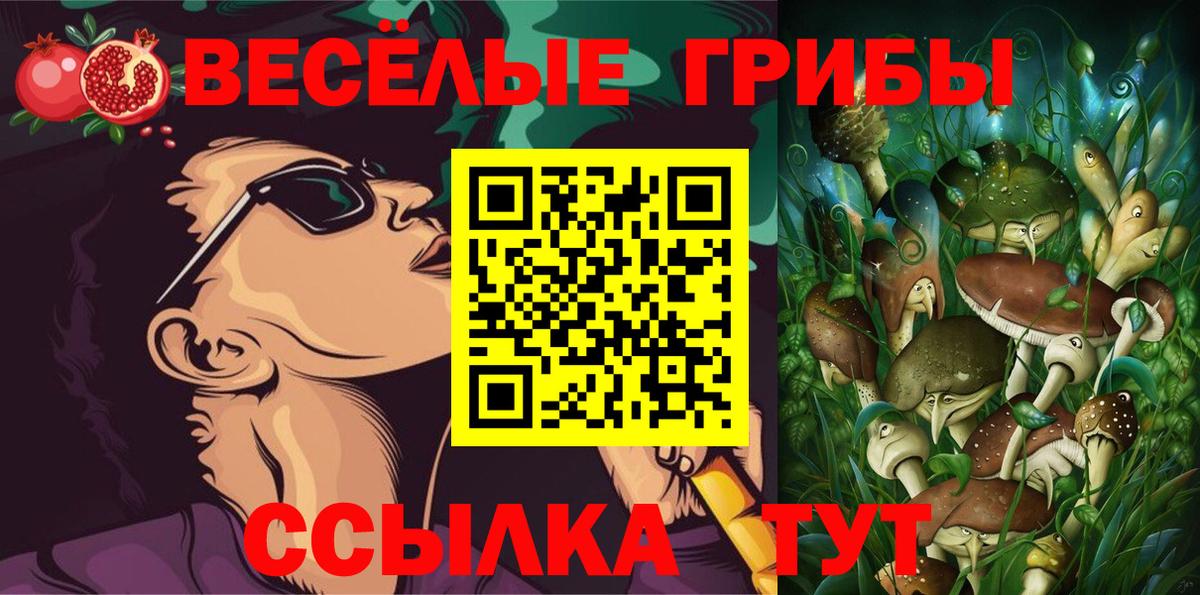 Псилоцибиновые грибы GOLDEN TEACHER  Вход с VPN  Таганрог  Псилоцибиновые грибы Magic Shrooms 